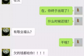 平罗遇到恶意拖欠？专业追讨公司帮您解决烦恼